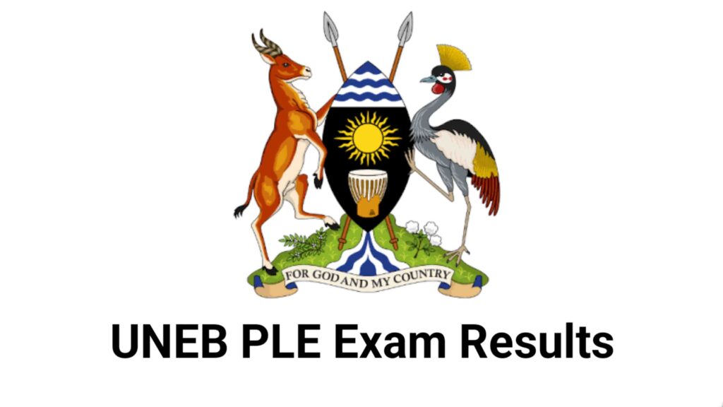 UNEB 2024 PLE Exam Results in Uganda