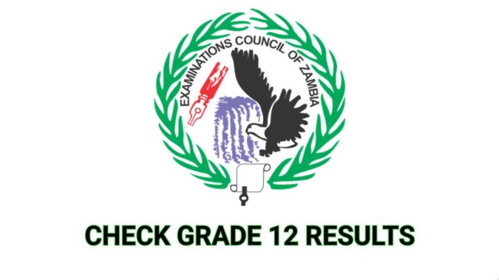 How to Check ECZ 2024 Grade 12 Exam Results