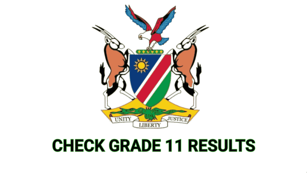 How to check 2024 NSSCO Grade 11 Results